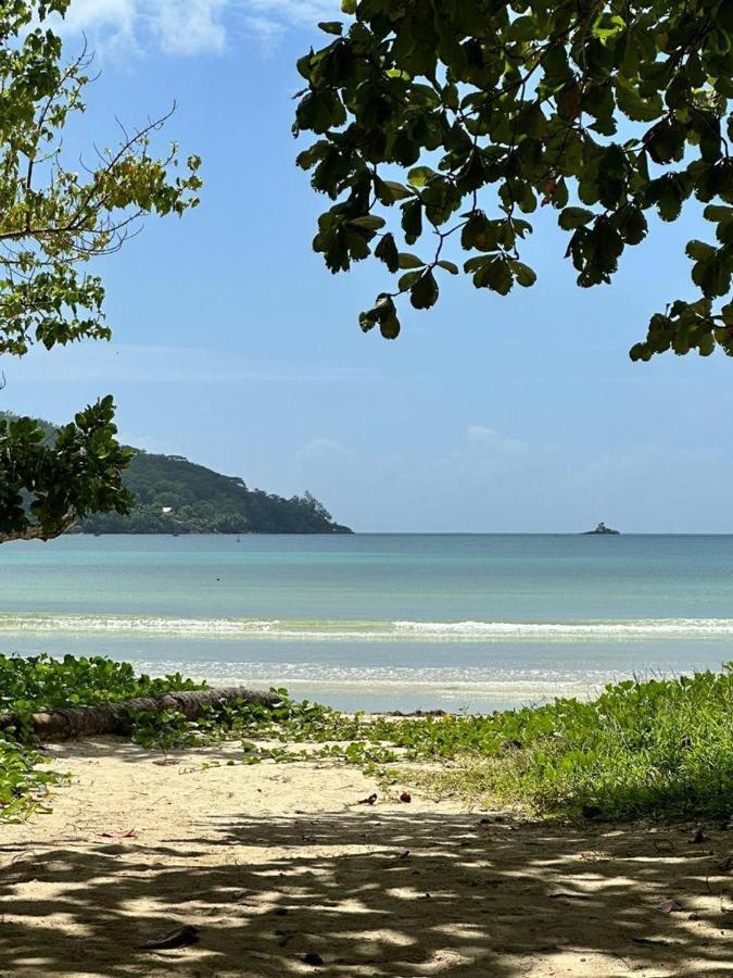 Mokara Holiday Apartment Anse Royale Extérieur photo